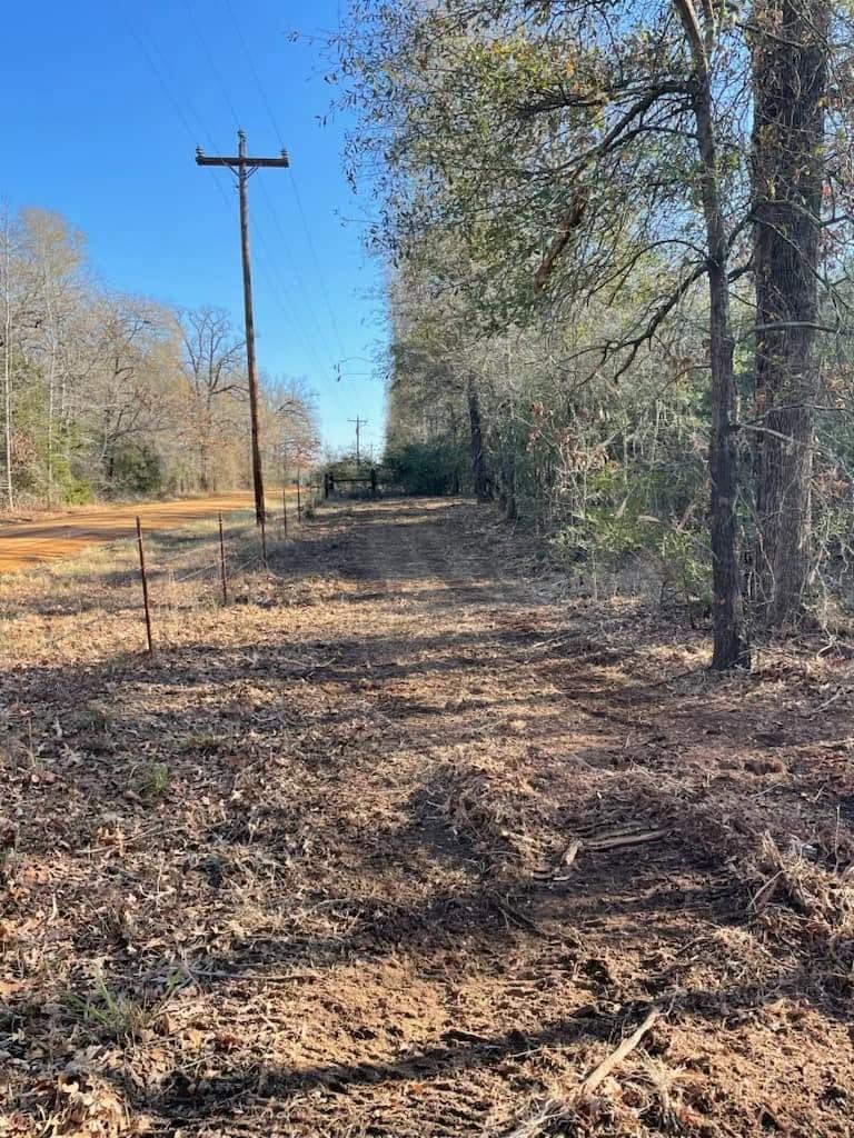 Freshly cleared fence line running along a county road, t-posts and power line visible down the mulched strip